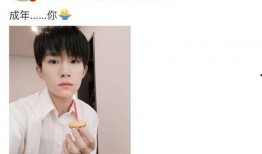 娱乐圈吃瓜评论,揭秘明星背后的故事与真相